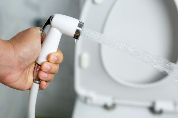 Cost of Bidet Installation in Billings