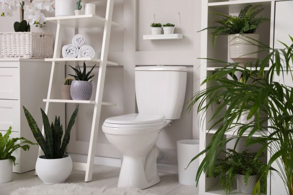 Cost of Toilet Repair in Billings