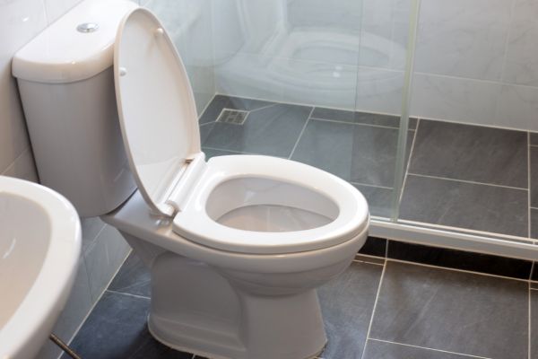 Cost of Toilet Replacement in Billings
