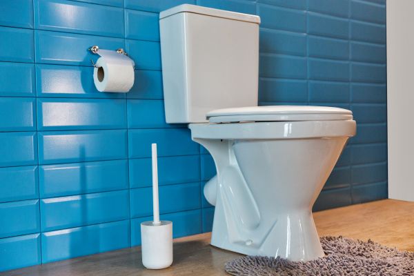 Cost of Toilet Tank Repair in Billings