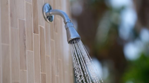 Cost of Showerhead Repair in Billings