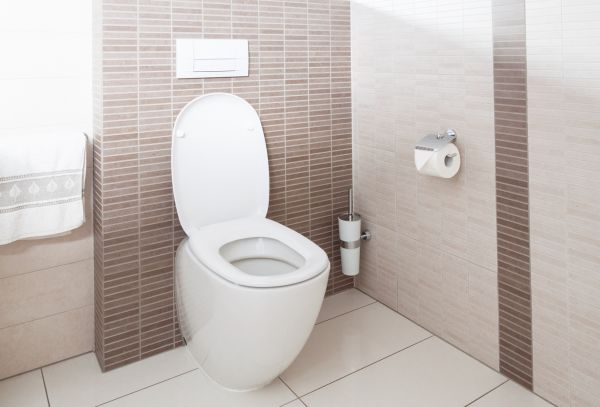 Cost of Toilet Plumbing Installation in Billings